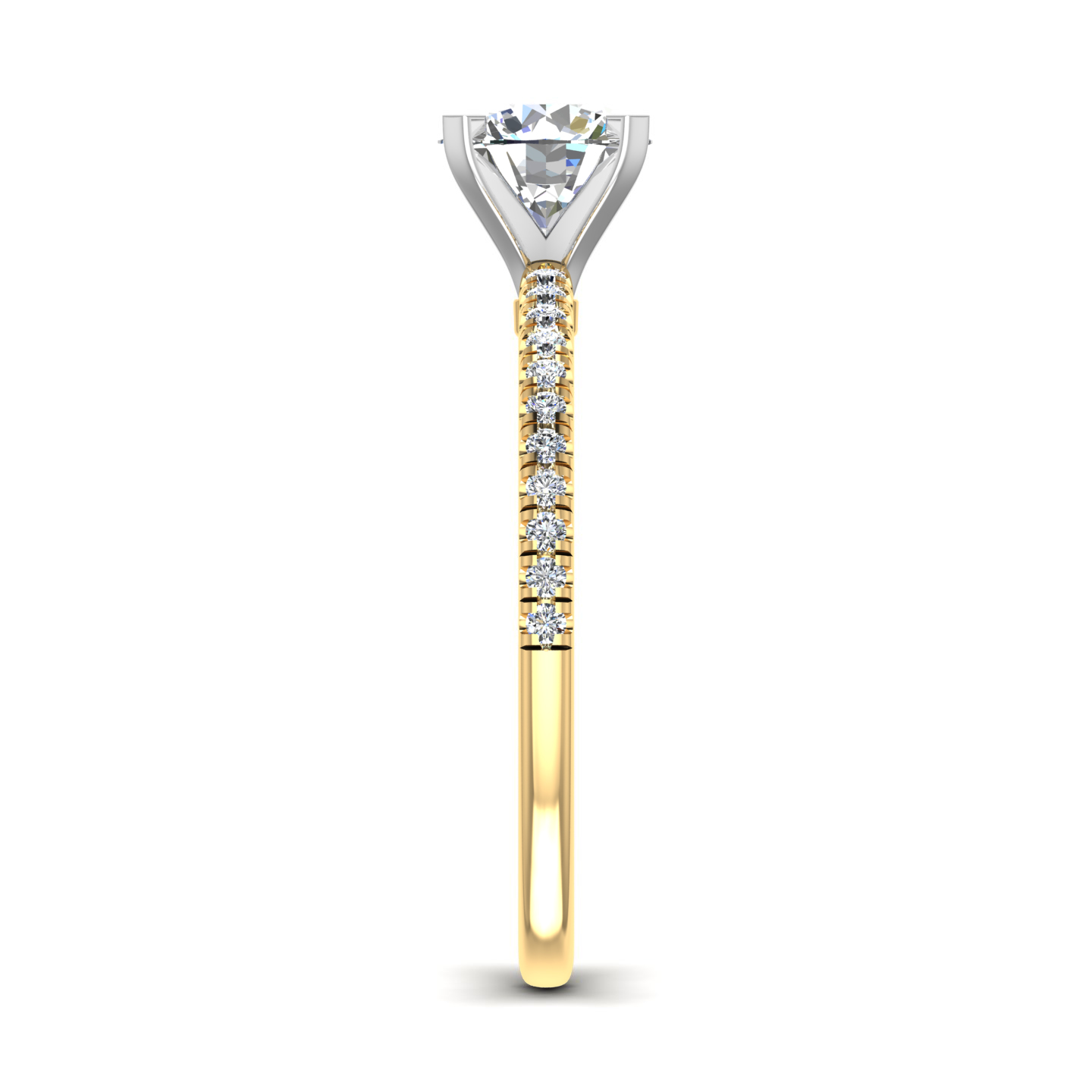 Carter Pave Engagement Ring